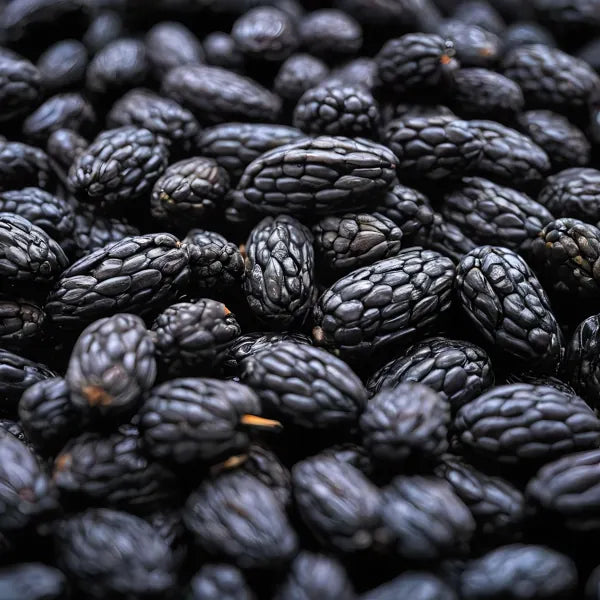 Tonka bean